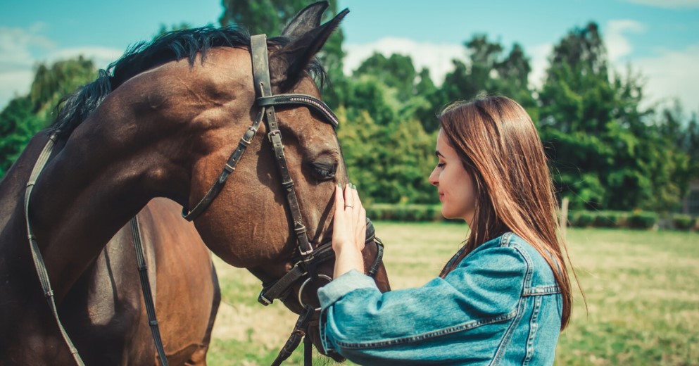 How To Be a Good Horse Owner