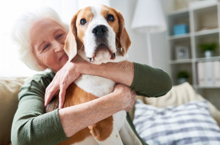 Hospice Pet Therapy and Its Benefits