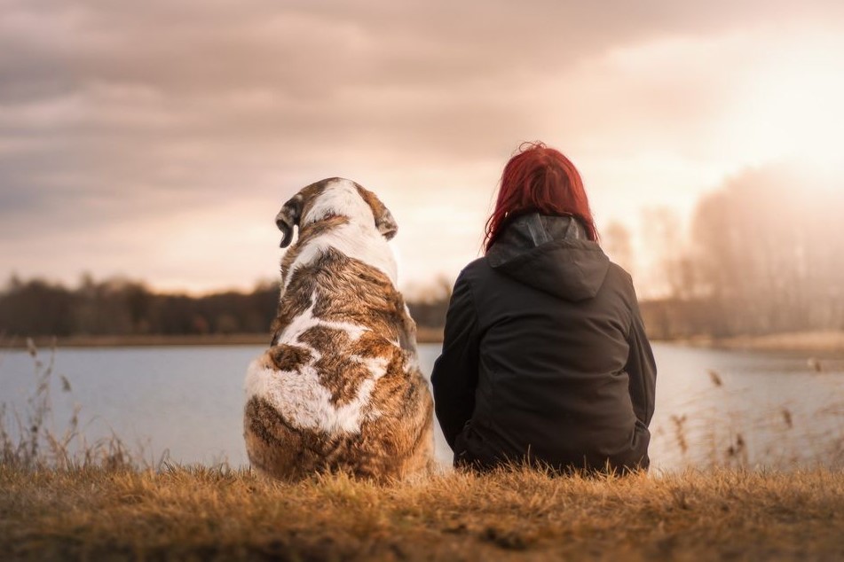 Pet Cremations: Honoring Our Furry Friends 